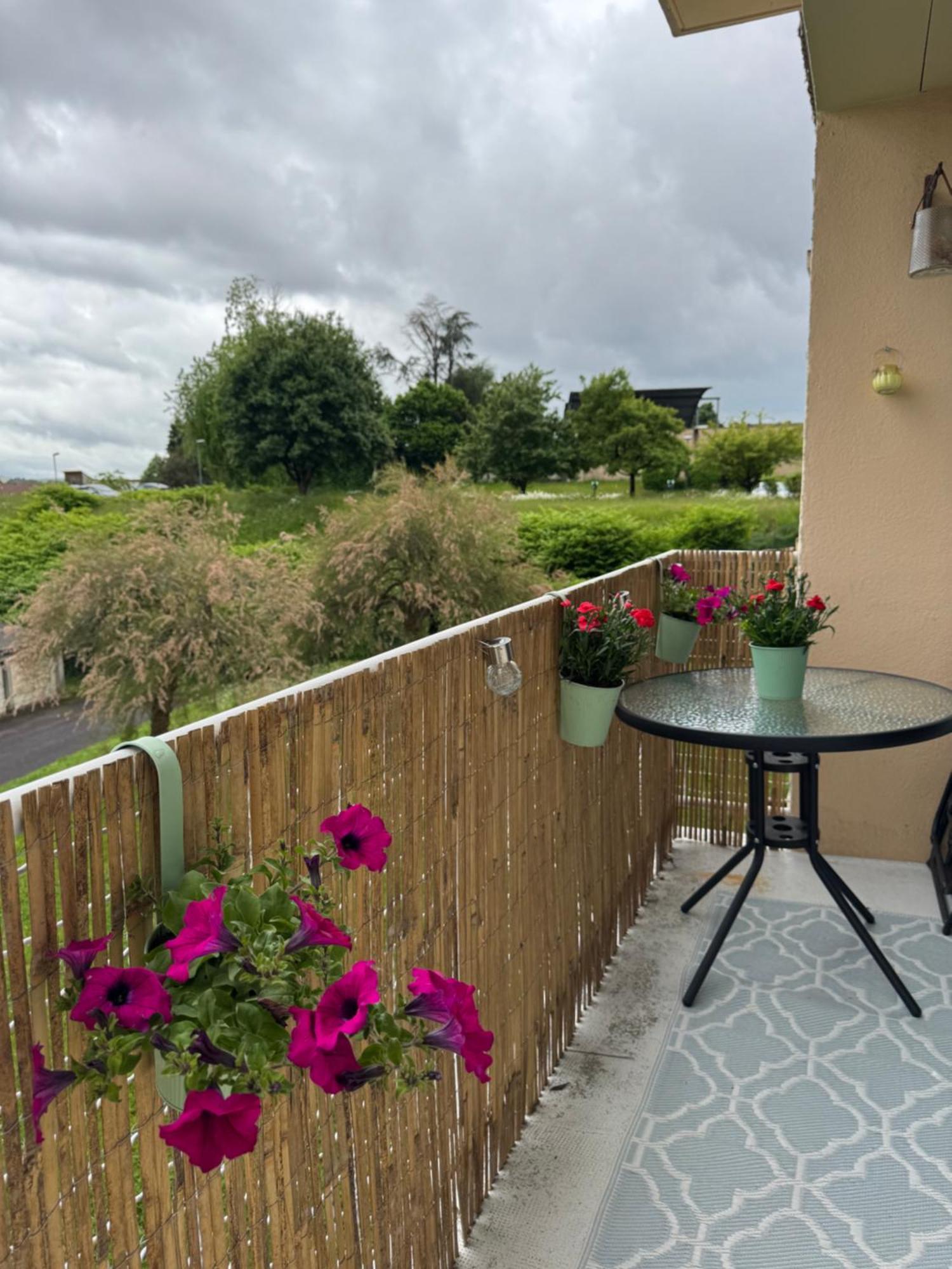 Appartement Chaleureux Et Spacieux T3 Λιμόζ Εξωτερικό φωτογραφία